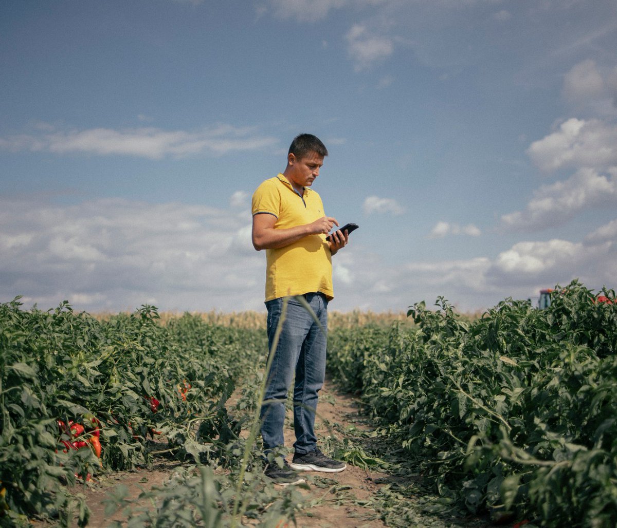 UNDP Digital, AI and Innovation Hub tweet media