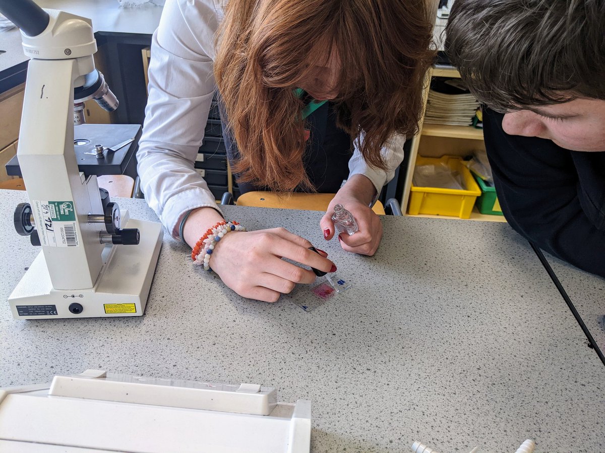 The NPA beekeeping class completed a pollen microscopy activity today. We analysed pollen from the bottom board of the hive and even managed to spot a varroa. #beekeeping #pollen