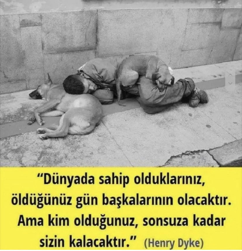 #sokakhayvanları #sokakhayvanlarınasahipçıkalım #sokakhayvanlarısahipsizdeğil #sokakhayvanlariniunutma #sokakhayvanlarınıkoruyalım #sokakhayvanlarısahipsizdeğildir #keşfetteyiz #kedisahiplendirme #köpeksahiplendirme #birkapmamabirkapsu #birkapsubirkapmama