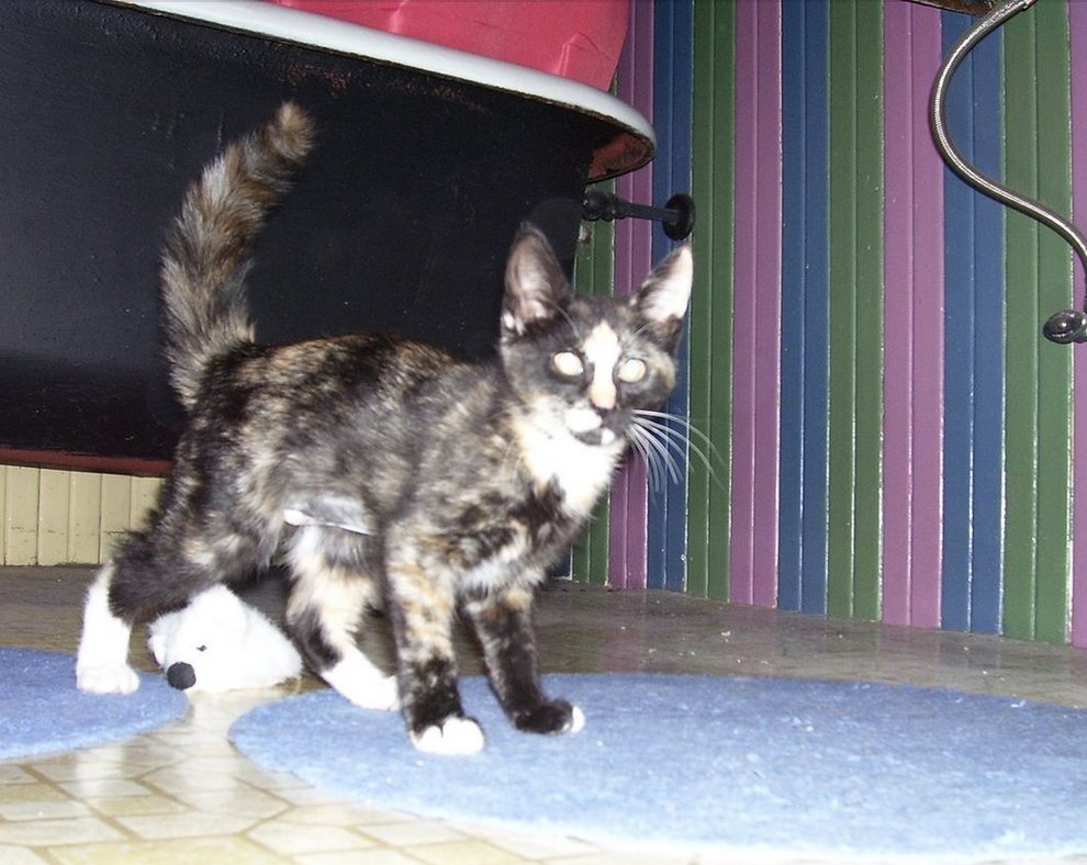 Ryan H. Walsh tweet media