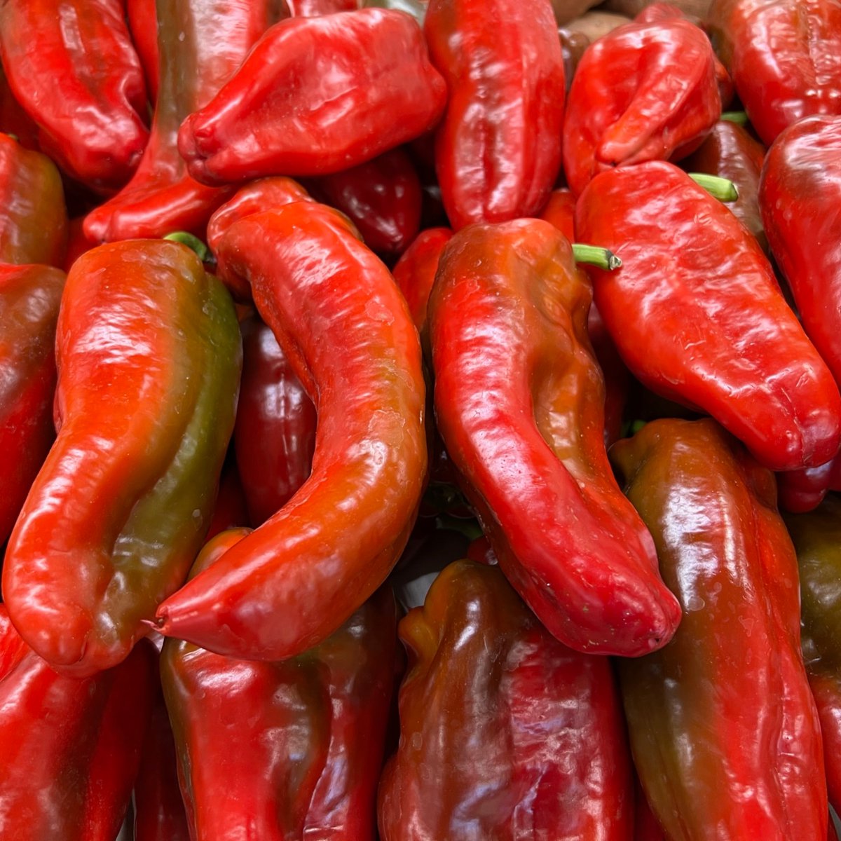 Galati Market Fresh tweet media