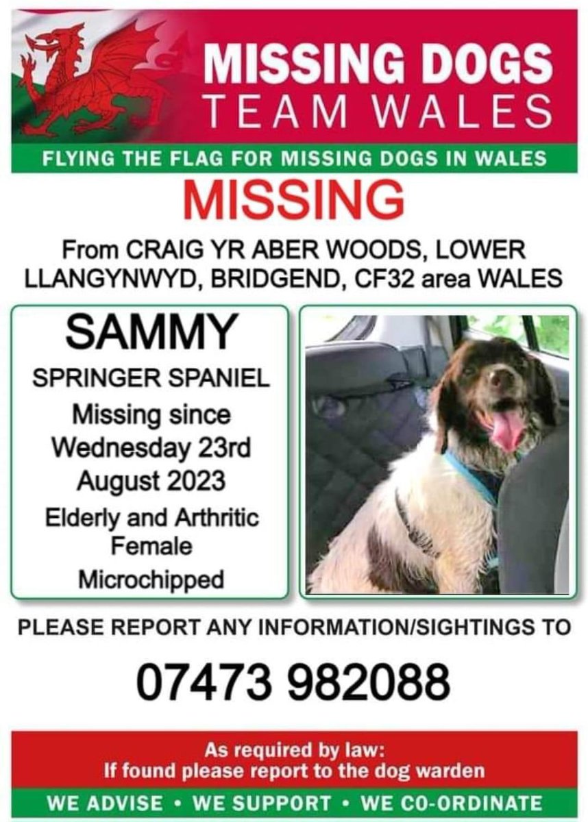 rosieDoc2's tweet photo. locals ๐ of CRAIG YR ABER WOODS AREA LOWER #LLANGYNWYD, #BRIDGEND #CF32 WE DESPERATELY NEED YOUR ๐ & RTS
SAMMY HAS BEEN LOST IN YOUR AREA SINCE Wed 23/8/23
SHES ELDERLY & ARTHRITIC/CHIPPED #ESS ๐
https://t.co/g416UC7V4k
@LlangynwydS @ruthwill64 @BryantDjbryant @RachaelB100 https://t.co/xpulEKkXCf