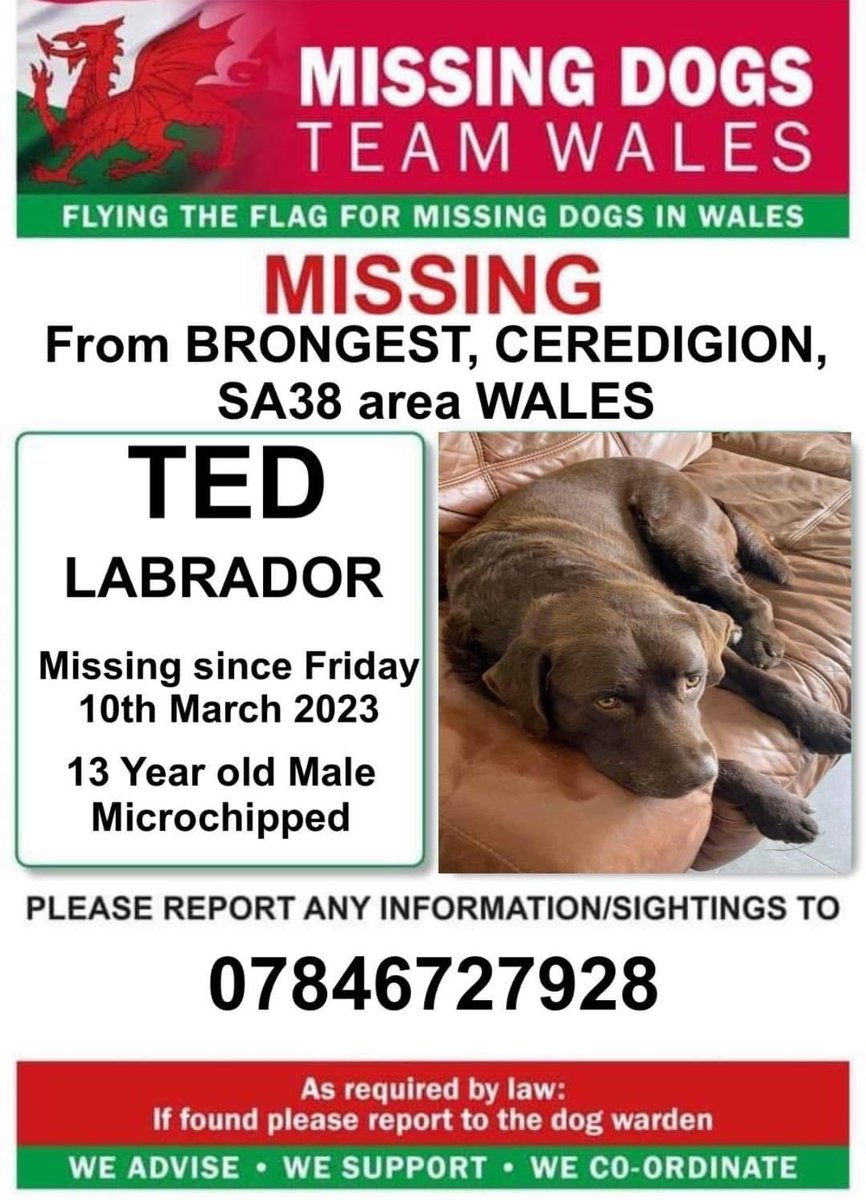 colliesontherun's tweet photo. ANOTHER ELDERLY DOG MISSING LOCALS🆘URGENT
TED 13YRS OLD MISSING FROM #BRONGEST #CEREDIGION #SA38
Since Fri 10/3/23
HES CHIPPED/not scanned so far FAMILY VERY CONCERNED FOR HIS WELFARE NOW
https://t.co/9oEKOCODpJ
@visitceredigion @CeredigionRPU @RadioCeredigion @juliagarland73 https://t.co/ZPjNBqcRww