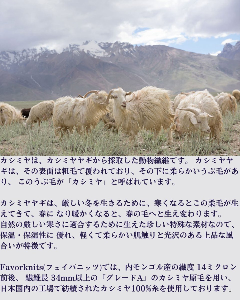 Favorknits's tweet photo. 『日本製カシミヤ100%ニットジャケット』先行予約販売(9/30まで)
商品のお届け 12月上旬
☟から是非ご覧になって下さい!
https://t.co/gXnNn23HkV
#ニットジャケット #knitjacket https://t.co/iZPv6vNf2U