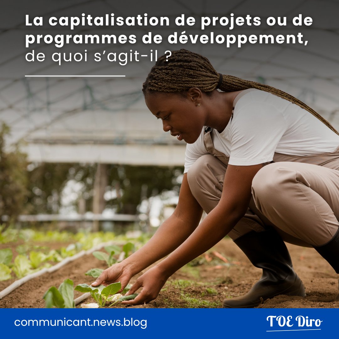 TOE Diro tweet media