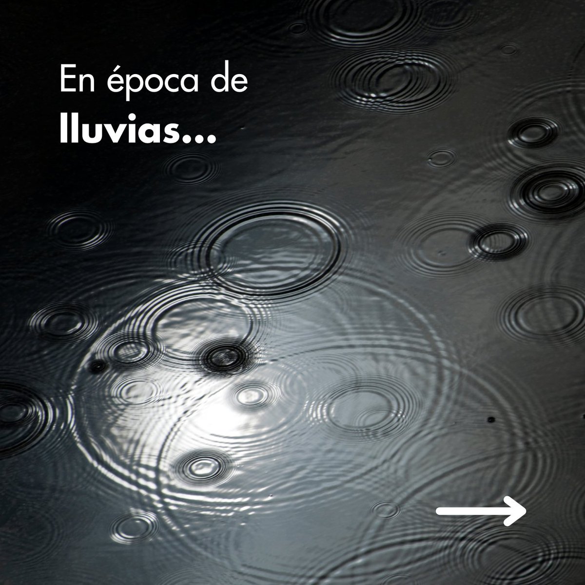 ipsalatam's tweet photo. 🌱 Nuestro plástico negro no solo es una opción ecológica, al estar fabricado con material 100% reciclado ♻️, sino que también actúa como un protector natural contra los deslaves de tierra durante las lluvias. 

#IPSALatam #Sostenibilidad #ProtegiendoElMedioAmbiente #Reciclaje https://t.co/1rDMV1zV7b