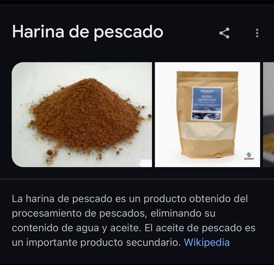 Sabía que el gobierno militar generó mucho crecimiento económico y por lo tanto tecnológico ¿pero tanto como para convertir a humanos en peces? Además de ser extremadamente conveniente que esto se venga a saber justo ahora, es una pésima Fake News. La izquierda está desesperada🌶️