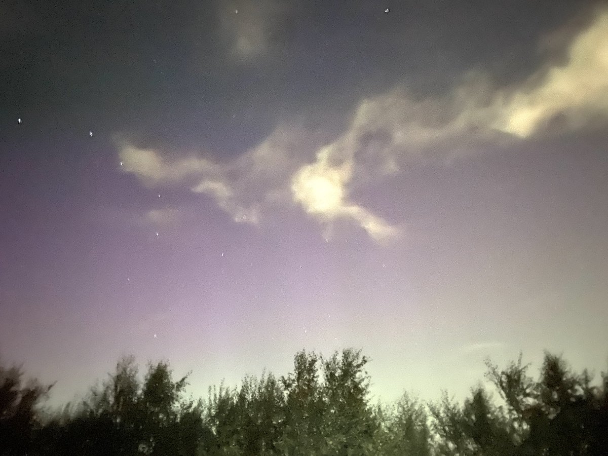 Lisa Kane tweet media