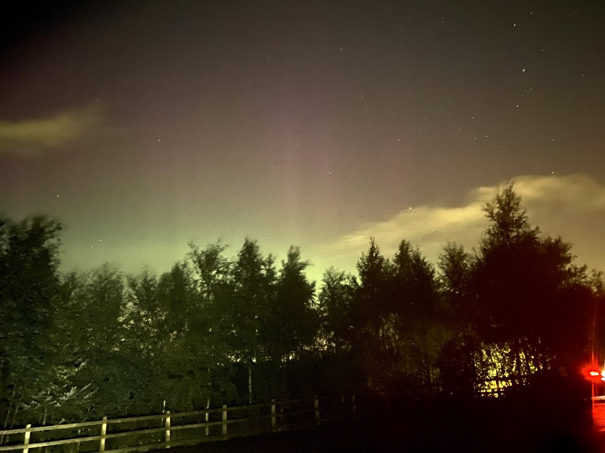 Lisa Kane tweet media