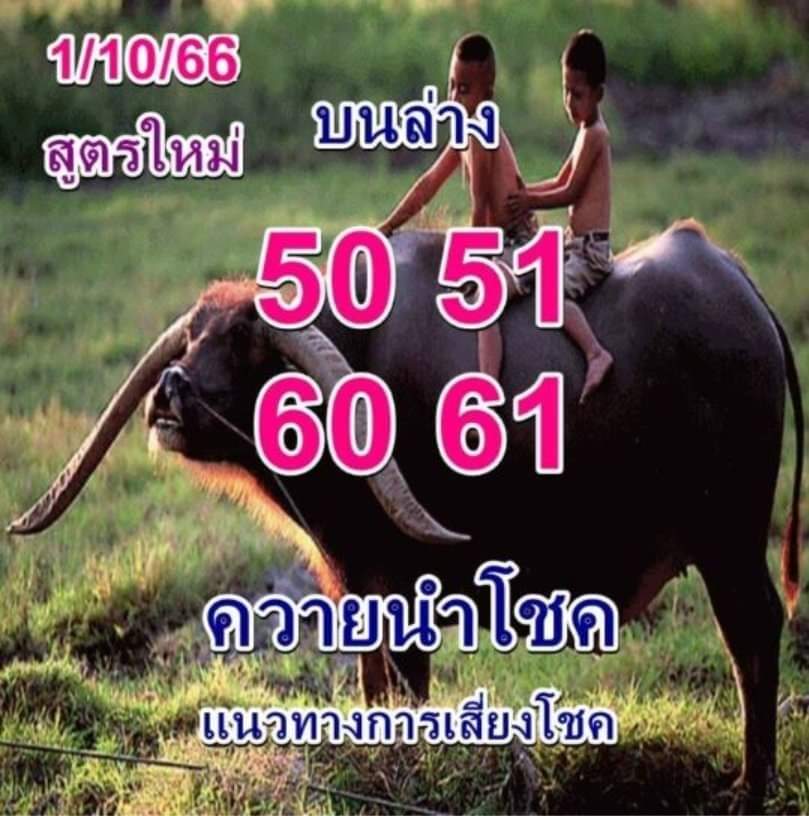 LOTTERYHIT's tweet photo. แนวทางหวยรัฐบาล 1/10/66
#หวยลาวพัฒนา #หวยลาววันนี้ #หวยรัฐบาลไทย #หวยฮานอย #เลขเด็ด #เลขดัง https://t.co/pQB6hdSYEd