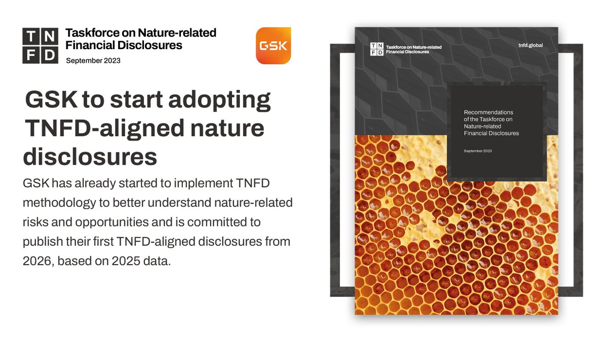 We're delighted that @GSK has announced its intention to start adopting @TNFD_ Recommendations and will publish its first nature disclosures in 2026 based on 2025 data. We look forward to others joining as early TNFD Adopters: tnfd.global #TNFD