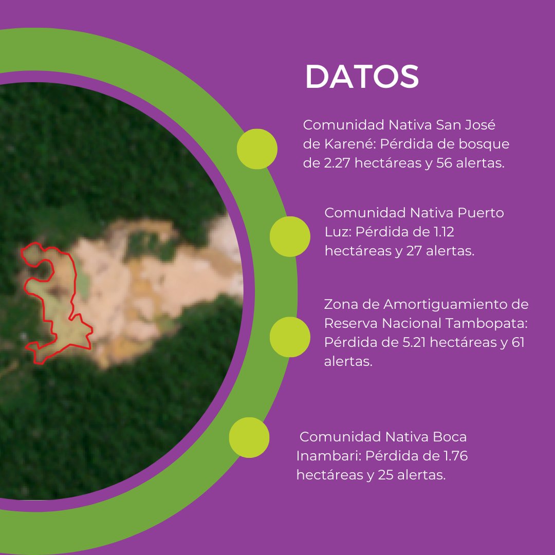 amazonacca's tweet photo. #BoletinRAMI 🛰 | Las alertas de minería ilegal en la Amazonía para el mes de agosto 2023 ya están disponibles en la plataforma RAMI.

📰 Conoce más en el reporte 30: https://t.co/1pLKuAzDgi

#AlertasRAMI #MineríaAurífera #ConservaciónAmazónica #Amazonía https://t.co/ZhYhQ8N8mY