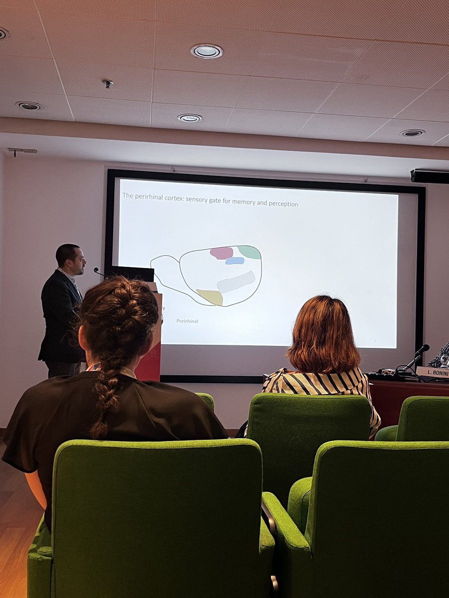 MaxNigro_Neuro's tweet photo. After presenting the work of #NigroLab @KISNeuro about how tactile information gets to perirhinal cortex. I discovered the philosophy of touch by Jean-Luc Nancy and a nice essay about Tuca Tuca and sexual revolution in Italy in the ‘70s https://t.co/jSxmBTKRd1