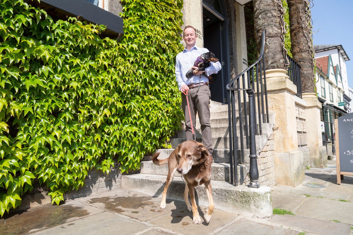 From boutique hotels to cosy cabins, there are some beautiful places to stay with your four-legged friend in Bury St Edmunds and beyond! Take a look and book a memorable getaway for you and your furry companion... 👉visit-burystedmunds.co.uk/business-direc… #DogFriendlyBSE #DogFriendly