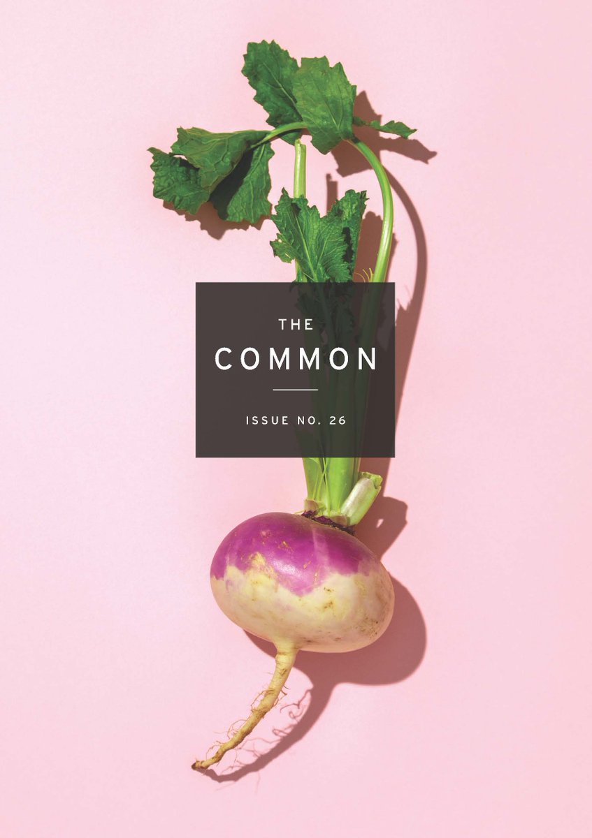 commonmag's tweet photo. Turnip the volume—it's time for our Issue 26 cover announcement! 

Over half of our fall issue will showcase a portfolio of writing and art from the farmworker community: the stories, essays, poems, and artwork of immigrant agricultural workers, co-edited by @TrustMiguel. https://t.co/AbBxWaS5Mx