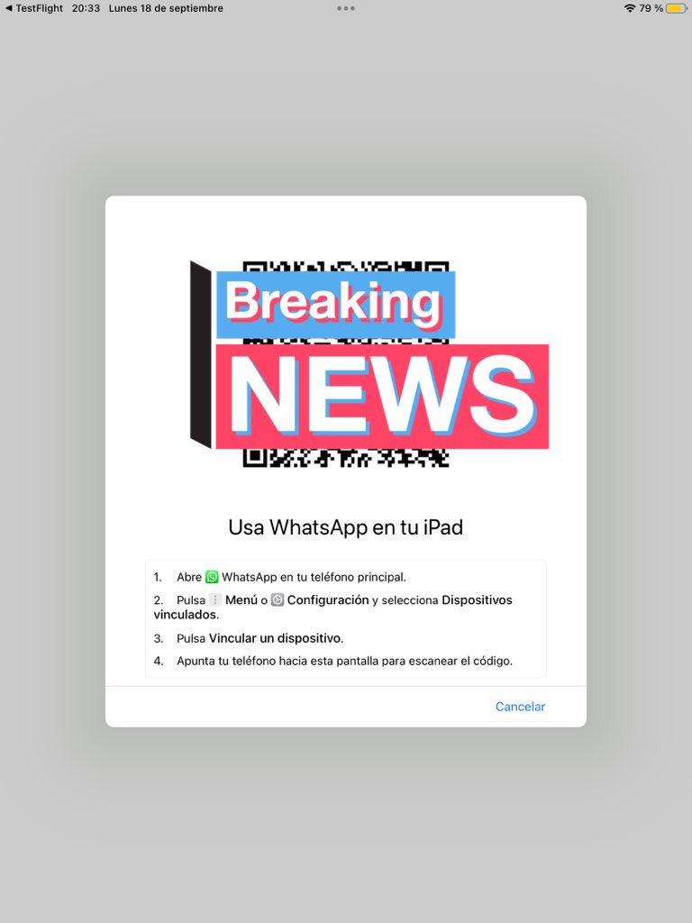 fdez_dev's tweet photo. WhatsApp is now available for iPad (in the latest TestFlight beta) https://t.co/wgCVBppJQF