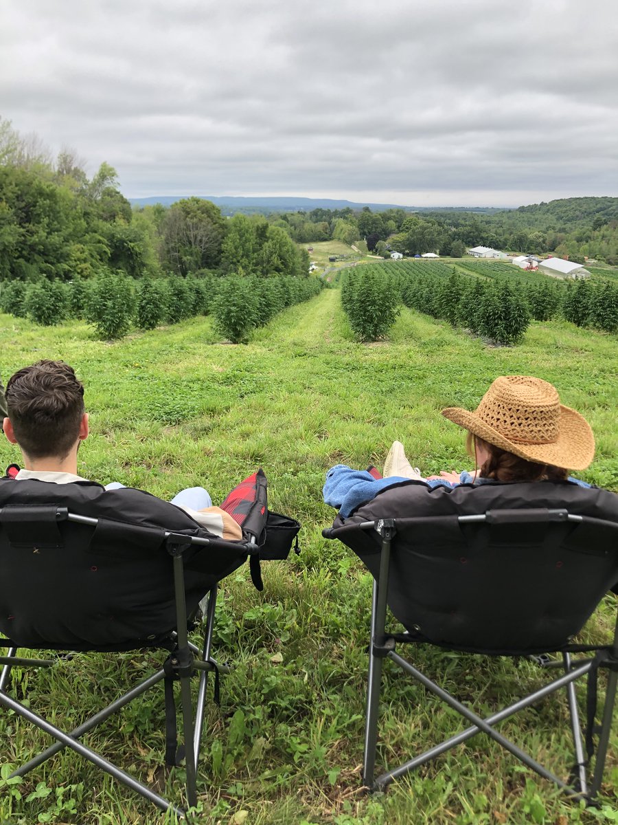 Greenman Acres tweet media