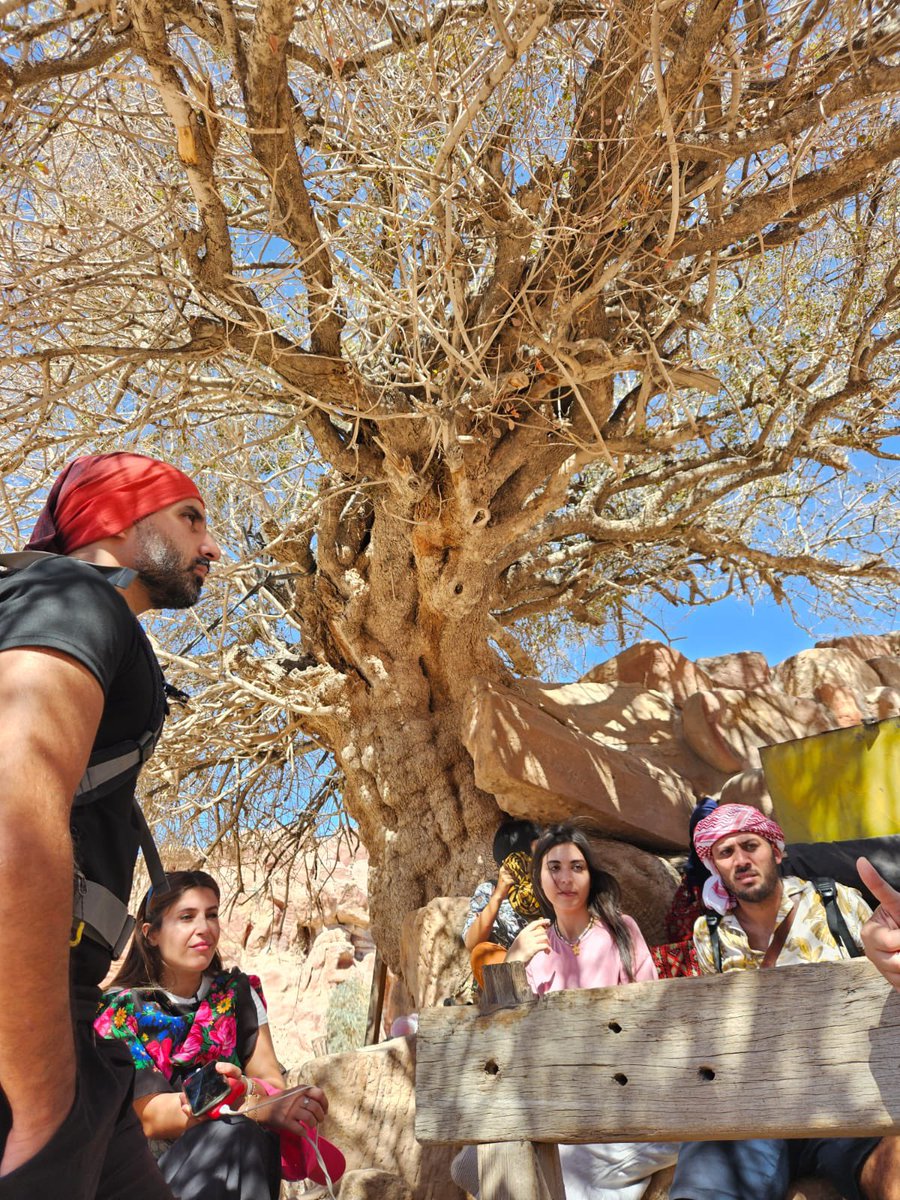 Pedratour's tweet photo. 🌟🧡 These days we are in #Jordan to attend a conference on sustainable tourism, on alternative tourism by @LeadersOrg! 

Today we enjoyed #Petra with a local guide and that was just the beginning: #XperienceLocalJordan! 😍😍😍

#Pedratou #turisme #turismeactiu #turismesostenible https://t.co/tlF2skDinv