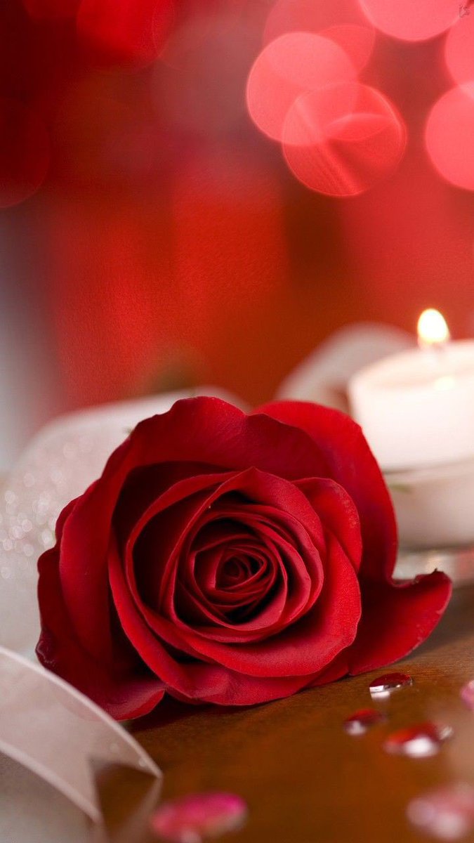 💕عبير 🥀 tweet media