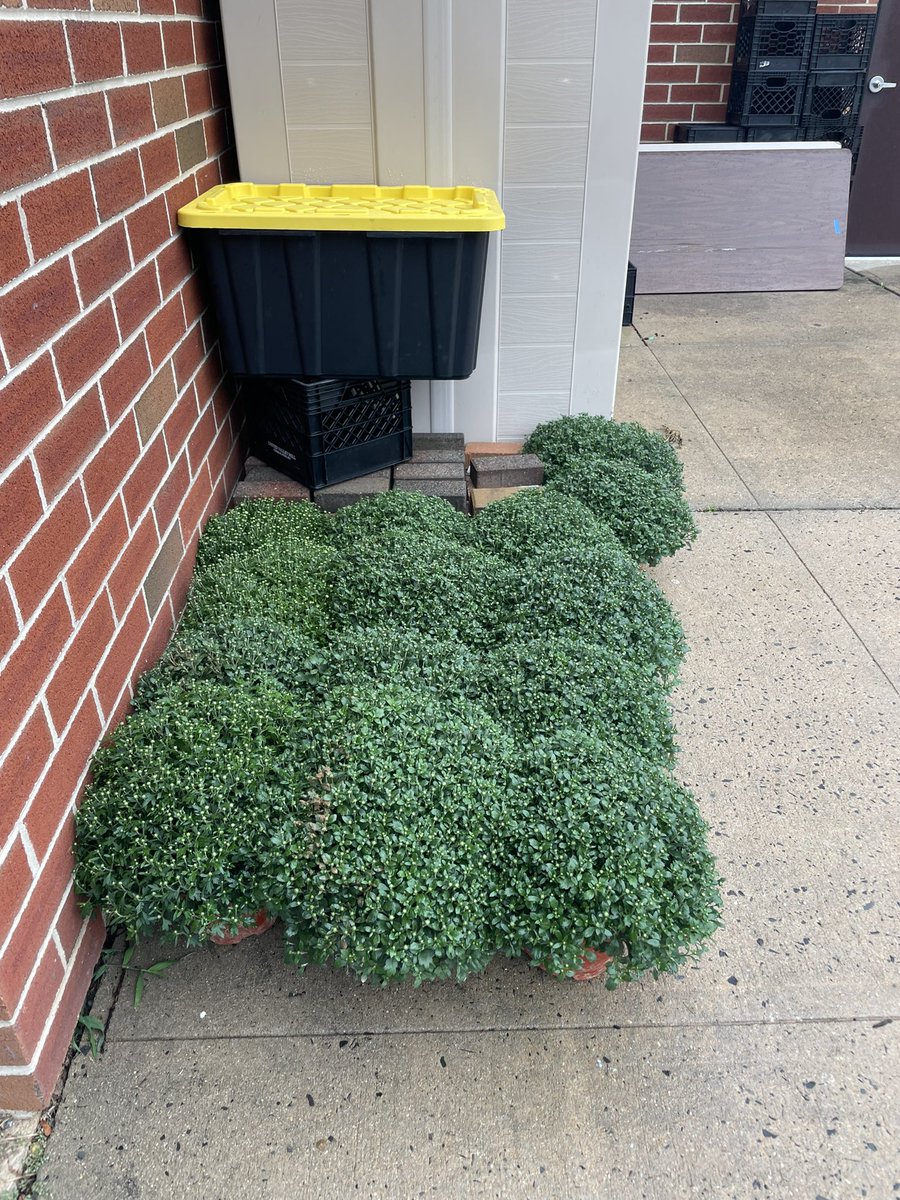 We’re almost sold out!  $6 each!