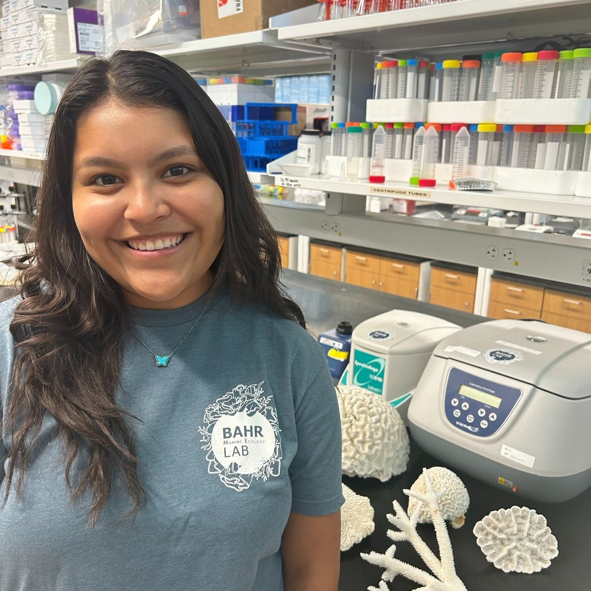 Bahr Marine Ecology Lab tweet media