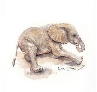 shareTED's tweet photo. Our hearts go out to Mishak, Peter, Jonas, & the entire @SheldrickTrust team. You give your hearts & souls with full dedication. We see it.
Thank you for making a difference & having true love for all in your care. We have that for you now & wish you strength & peace. #Doldol https://t.co/v9a10d26Px