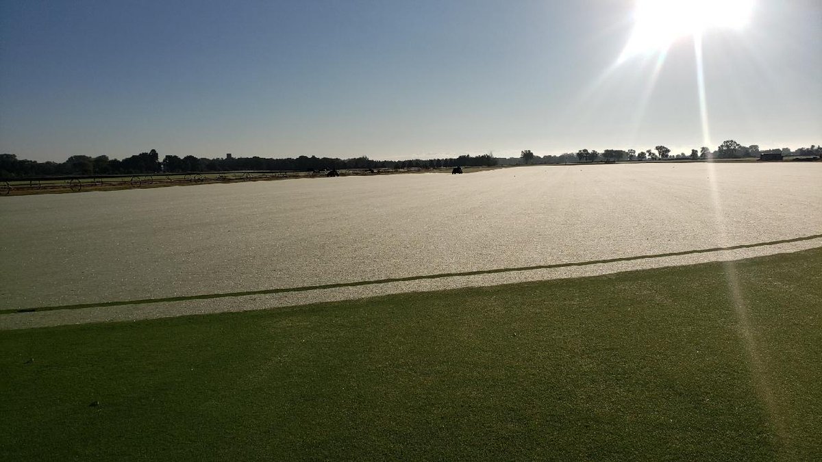 GreenSource_USA's tweet photo. Just some dew covered #007XL #BentgrassSod...

Now available for delivery and installation assistance. Contact our VP of Production for more information on all of our premium sod varieties (Pete Kiraly 847.404.4346). @GCSAA @TPITurfTalk @MidwestAGCS 

https://t.co/c1EUFEg3X3 https://t.co/6yqqLZ3Uh4