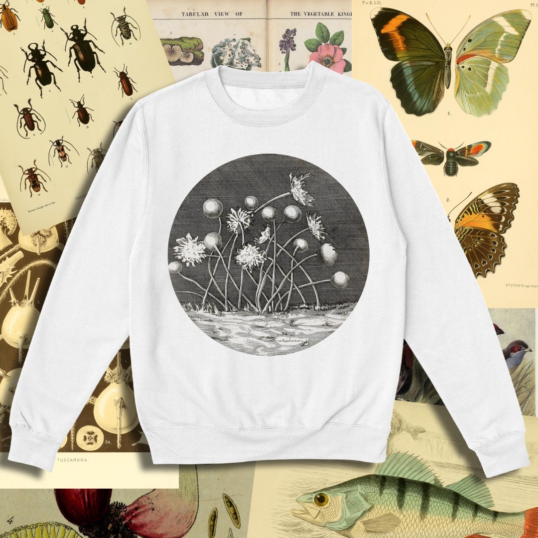 wildillustra's tweet photo. OBSERVATIONS D'HISTOIRE NATURE
https://t.co/fcHXxPXf7r
#sweatshirt #everpress #clothing #science #nature #etching #victorian #vintage #fashion https://t.co/YieT61RJQk
