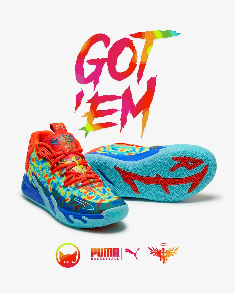 Gutter Cat Gang tweet media