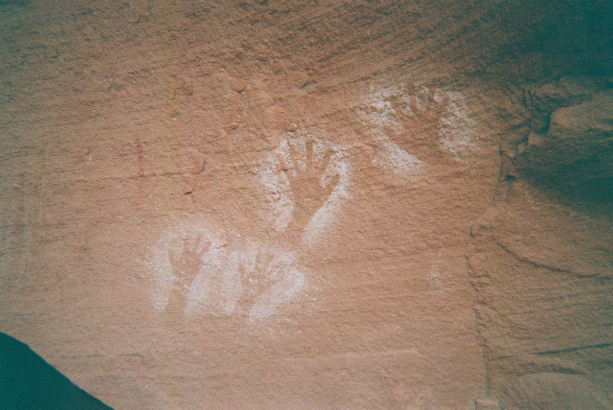 Summer on film 📸 🎞