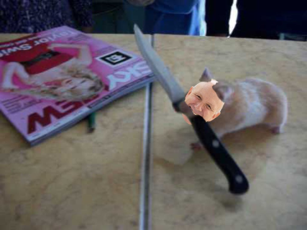 QMUL Community Solidarity tweet media