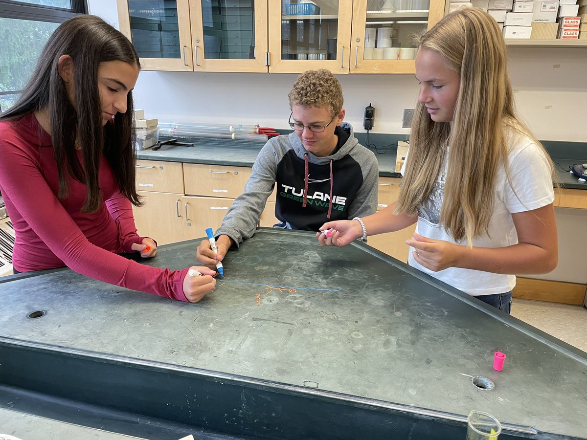MsSchillingGC's tweet photo. Used chalk markers to create initial models of our lab phenomenon in earth science today! #deadseainvestigation https://t.co/XLJNQ5ZyB8