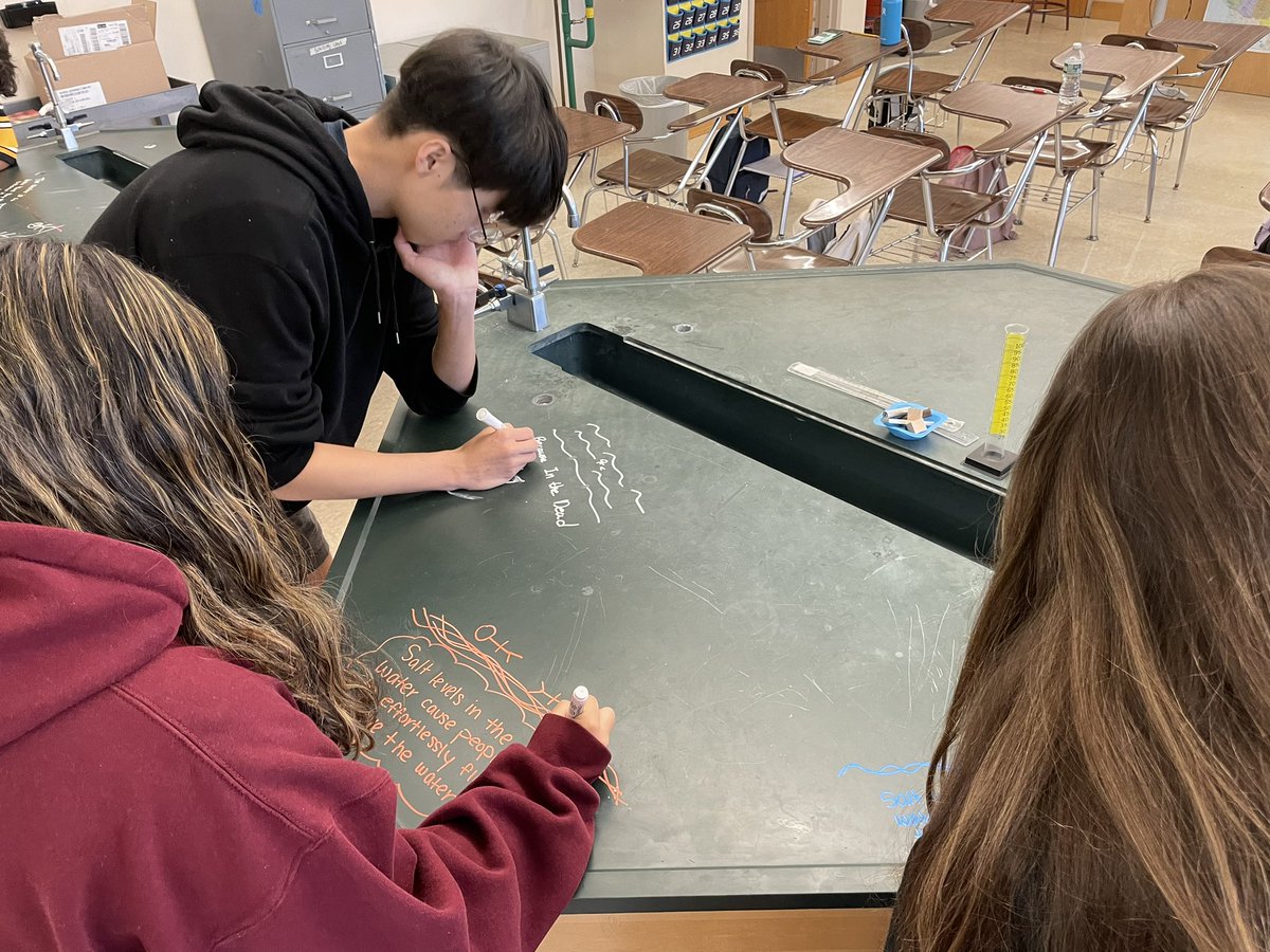 MsSchillingGC's tweet photo. Used chalk markers to create initial models of our lab phenomenon in earth science today! #deadseainvestigation https://t.co/XLJNQ5ZyB8