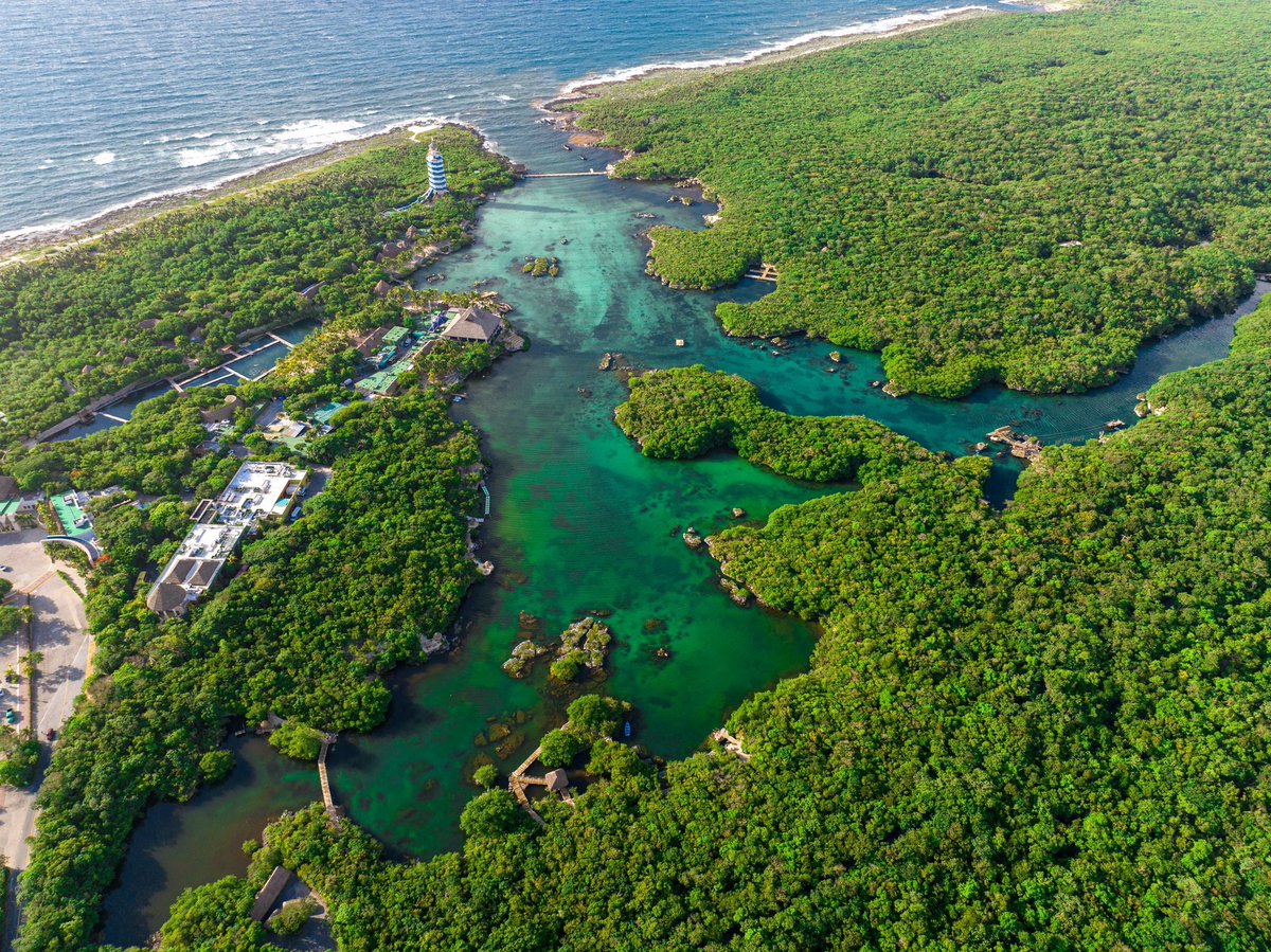 XCExpedition's tweet image. Queremos que empiecen la semana apreciando esta vista de @XelHaPark 🐠💧😍 Imperdible si están de visita en la #RivieraMaya.