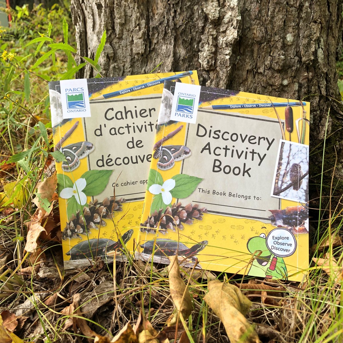 MurphysPointPP's tweet photo. It's Science Literacy Week! A week to showcase the diversity of Canadian science

DYK that along with our many in-park Discovery programs, Ontario Parks also has ways to learn virtually!

Check out the OP website for more info: https://t.co/g44NJJVnTC

#OntarioParks #SciLit https://t.co/Oj3kGqlYgT