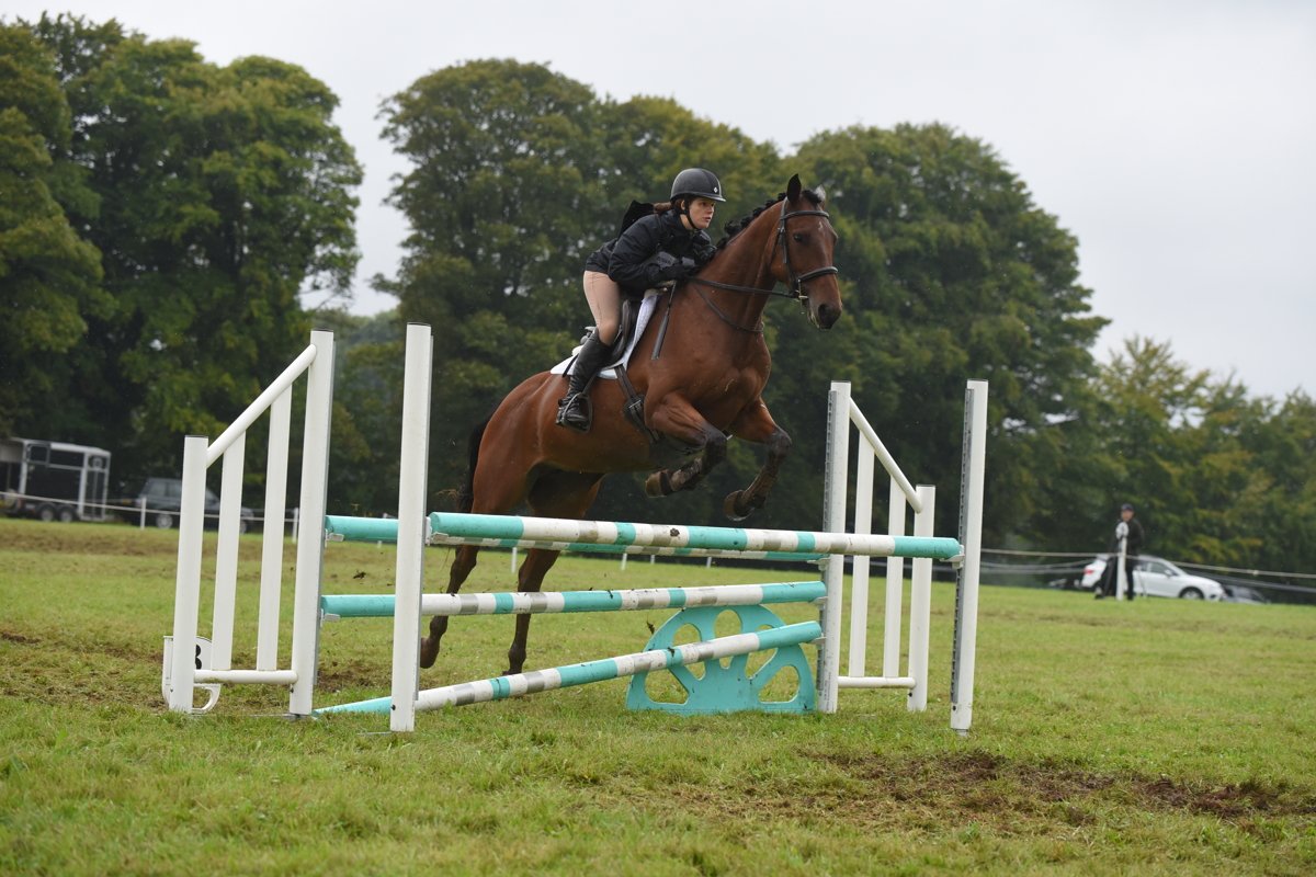 Edith flying double clear for 3rd in her first 100, such a clever girl especially in the horrid weather 🥰