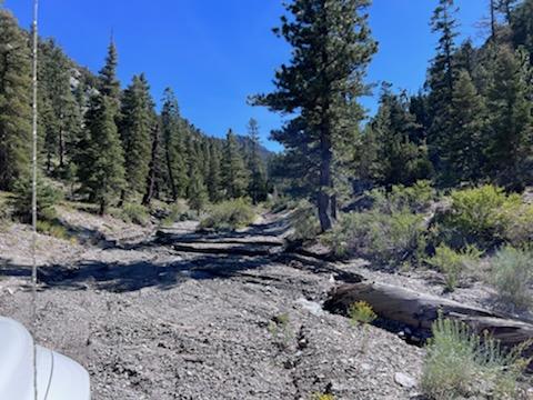 Humboldt Toiyabe NF tweet media
