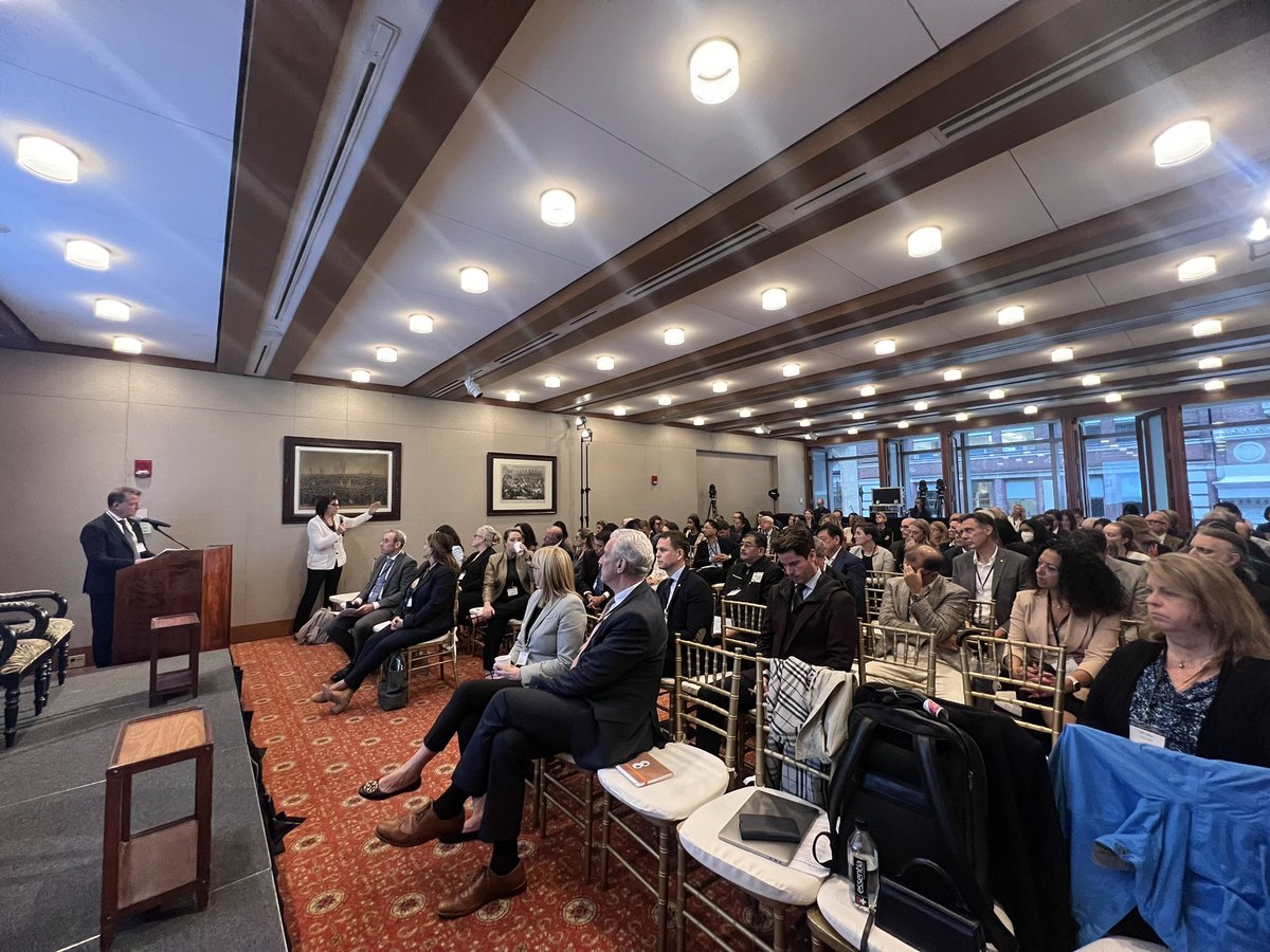 mahmoudbukar's tweet photo. Thread 🧠✨ Insights from my presentation at the @UN General Assembly Science Summit #UNGA78 on brain research in #Africa #Nigeria where I highlighted our work with @BioRTCNig @TReNDinAfrica and engagements with @SONAorg https://t.co/16GmE44e5g