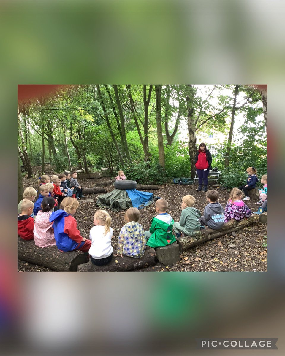 RecHiStPrimary's tweet image. The children loved their first outdoor learning sessions last week 🌳🌲 @ODLHiStPrimary