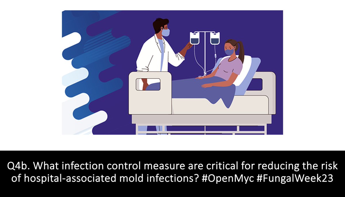 MSG_ERC's tweet photo. Q4b. What infection control measure are critical for reducing the risk of hospital-associated mold infections? #OpenMyc #FungalWeek23 https://t.co/GmRNFTKph3