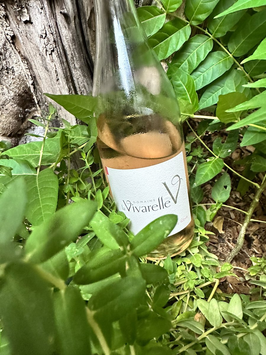 Lee__Corn's tweet photo. On trinque à la santé du domaine @LaVivarelle avec @ChaiLesFilles !
Sa vigneronne et toute la famille 🩷🍷
#vin #Languedoc #VinDeVigneronne
#LaBoxDeVinsDeVigneronnes https://t.co/ZNHPbGXuIl