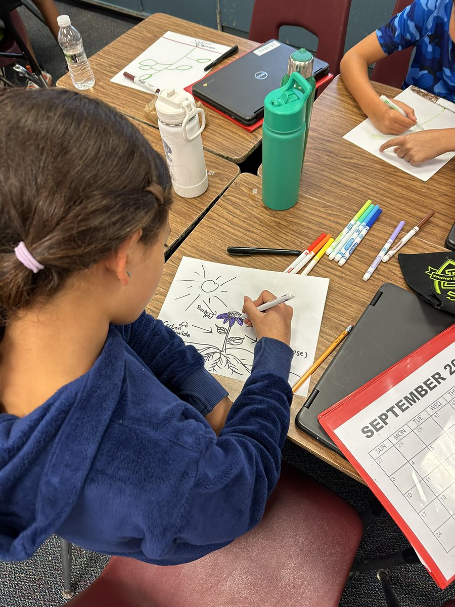 Students drawing and labeling photosynthesis models!