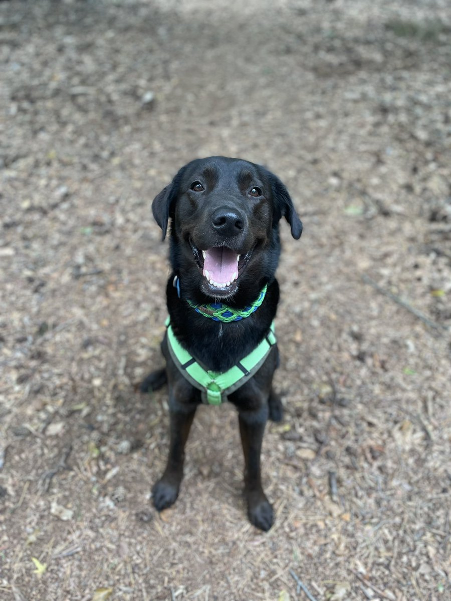 🙎: …. und dann wirst Du so angestrahlt 🥰😍.