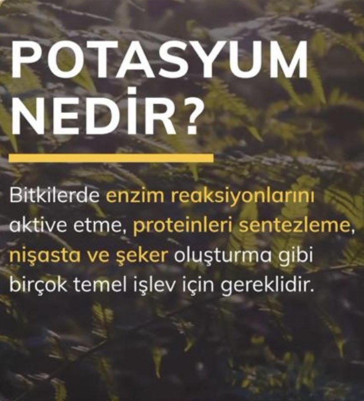 Harun2407's tweet photo. #Potasyum Bitki Beslemede Eksik Olmasın . Sorun Varsa ; Çözüm : @makrotarim #makrotarim #BitkiBeslemeUzmanı #RedPowerK #ColorK #PotAminoKST #CalpoN https://t.co/eYTVLDZEZb