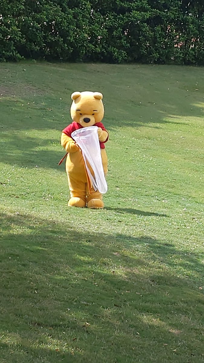 ScottKumka's tweet photo. Bear roaming free inside Epcot https://t.co/vQAmwzUUza