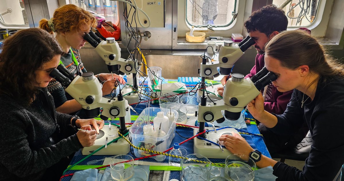 Marine Institute tweet media