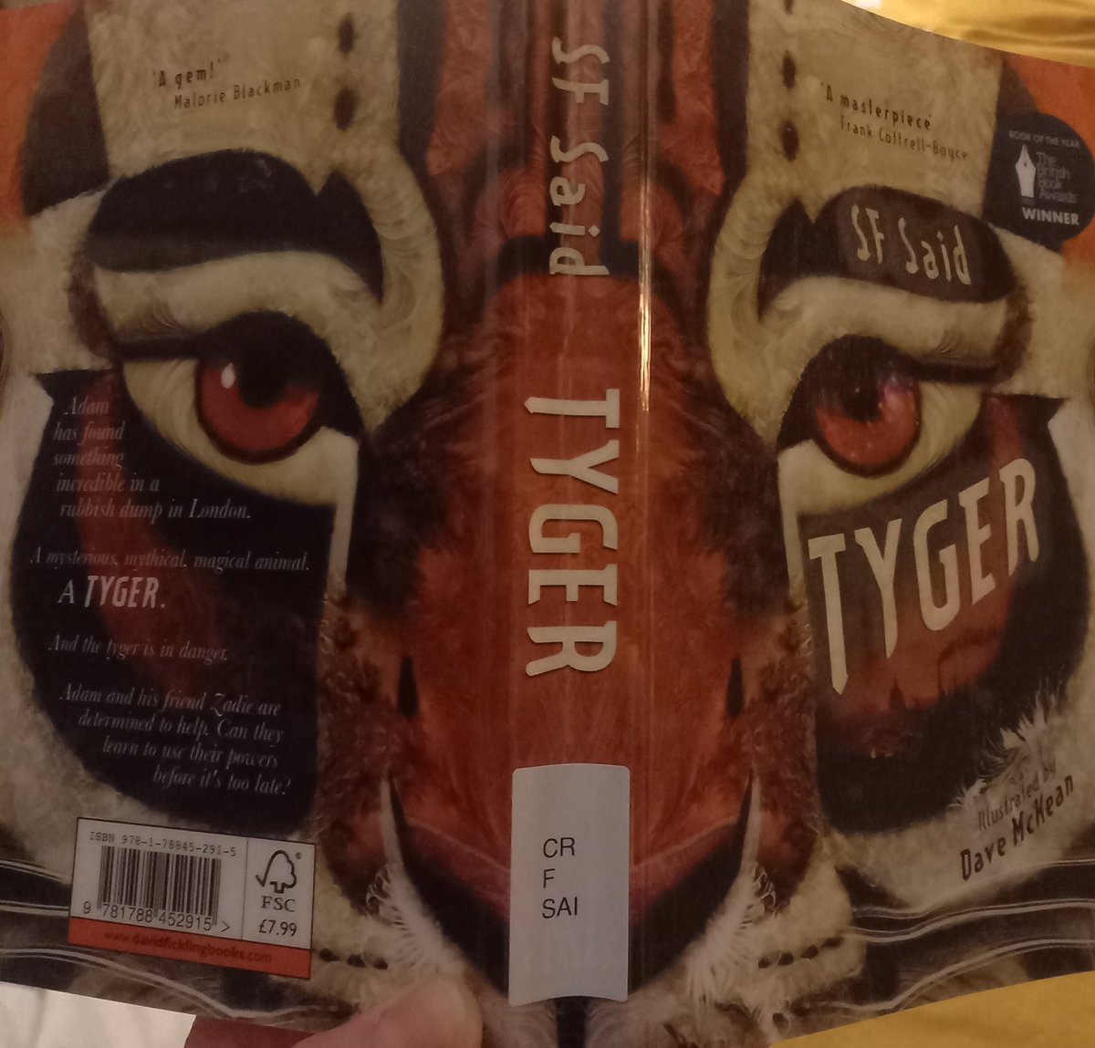 RuthEllenClark's tweet photo. #Tyger @whatSFSaid Amazing book! Such rich layers. Adventure, intrigue, love, fear, imagination, creativity, perception. And a massive, powerful, gentle, guiding Tyger at the heart of it all. Ironically, my child pointed out the previously unseen cover picture! @DaveMcKean https://t.co/56MQK7PNFe