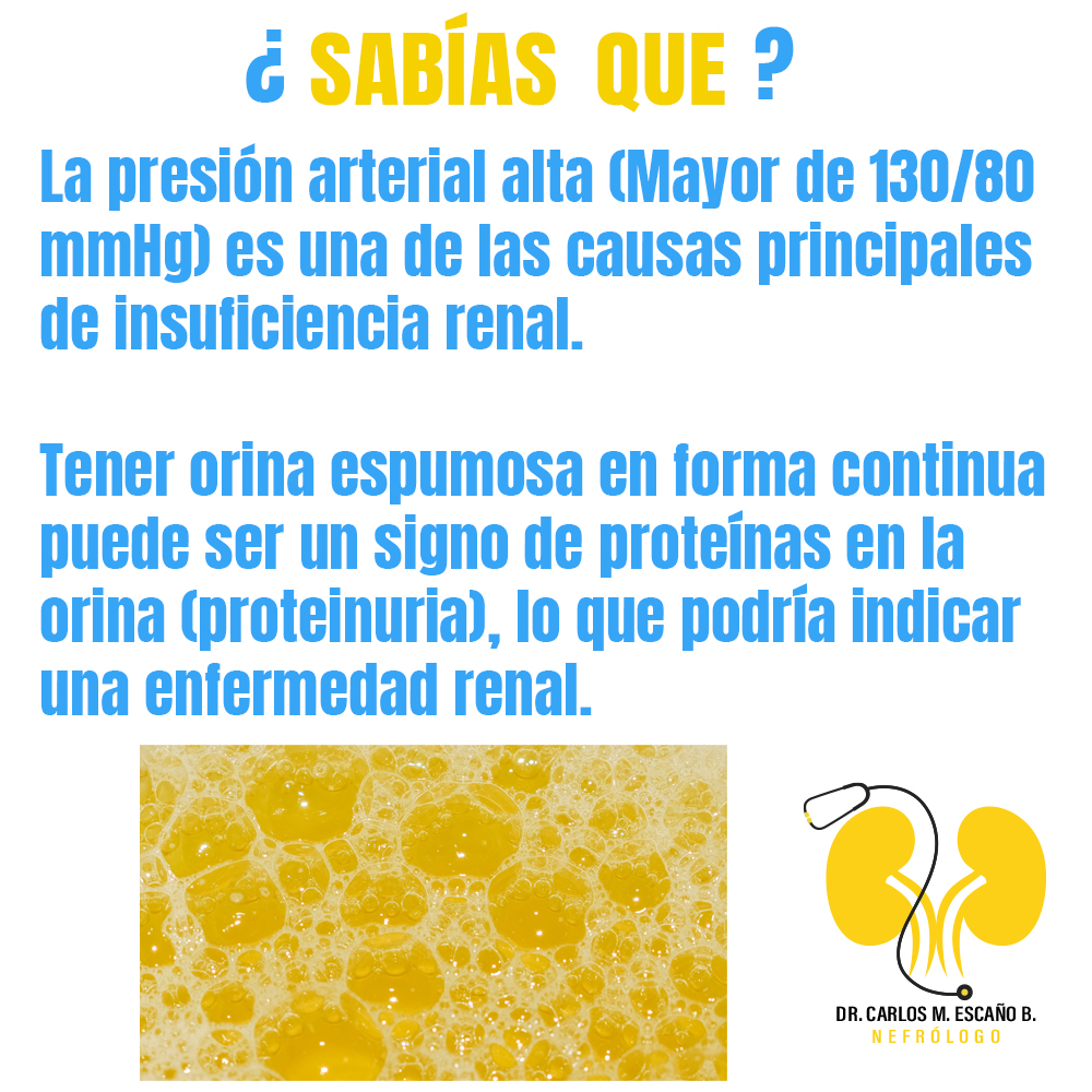 Una presión arterial alta (hipertensión arterial) es cuando la presión arterial es mayor de 130/80 mmHg.

Los riñones dañados no regulan la presión arterial.
