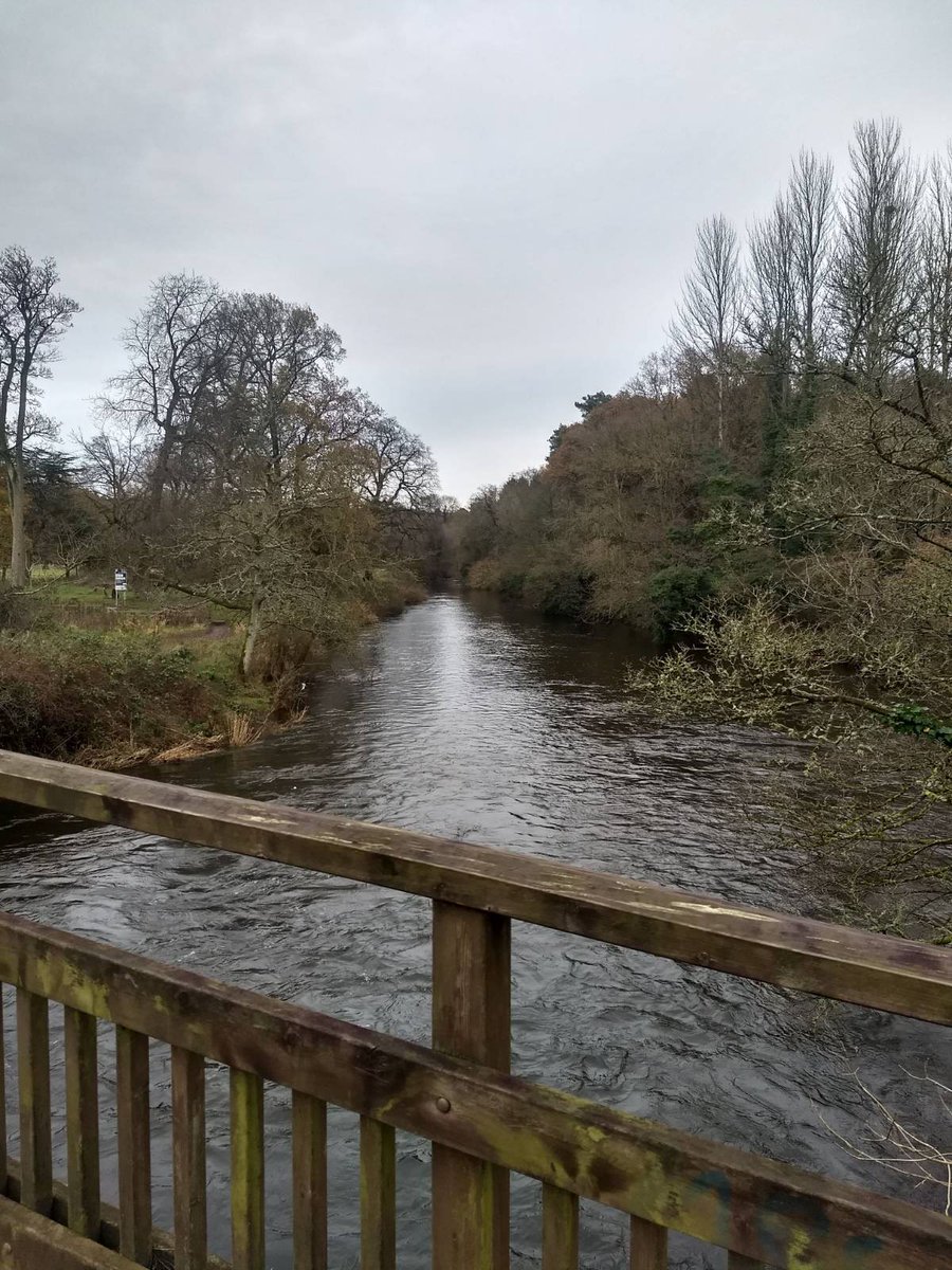 bobmarksie's tweet photo. @micky_murray Some before (2021) and after pics. Bridge looking great! https://t.co/Oy2scw695I