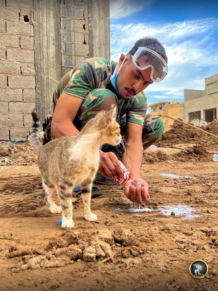 Amna Shallof (@amounyshallof) on Twitter photo 